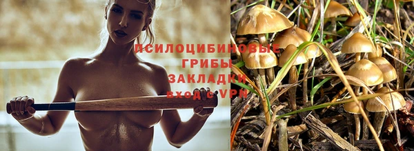 ALPHA PVP Магадан