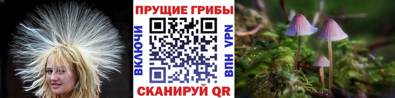 Галлюциногенные грибы Magic Shrooms  даркнет наркотические препараты  Уржум 